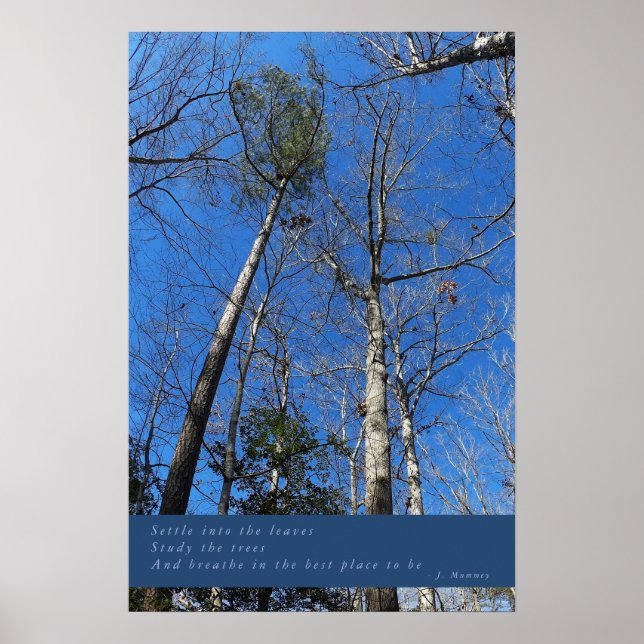 Vackert Poster på helgdagen (Framsidan)