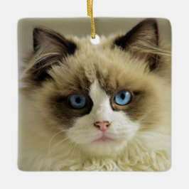 Vackert Ragdoll Cat med Blue Öga Julgransprydnad Keramik