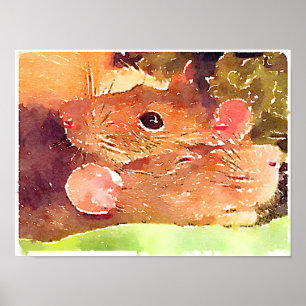 Vackert Råttor Poster