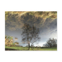 Vackert reflektionsfoto Träd vykort