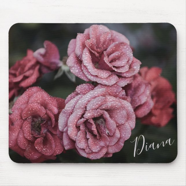 Vackert Ro med Dew tappar muspad Musmatta (Framsidan)