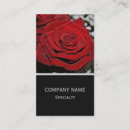 Vackert Röd ros Visitkort