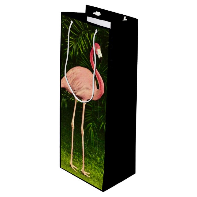 Vackert rosa flamingo (Framsidan Vinklad)