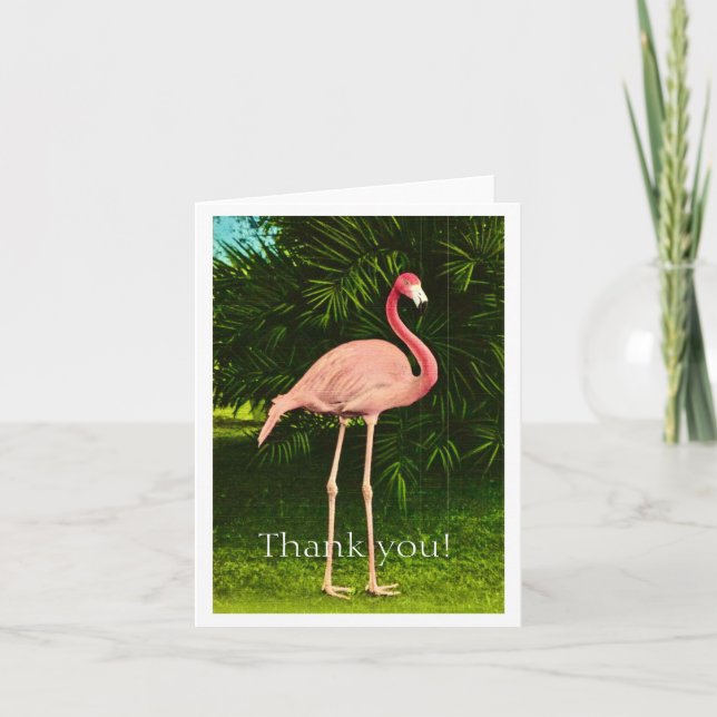 Vackert rosa flamingo tack kort (Framsida)