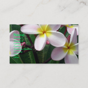 Vackert Rosa och Gult Plumeria-Affärskortet Visitkort