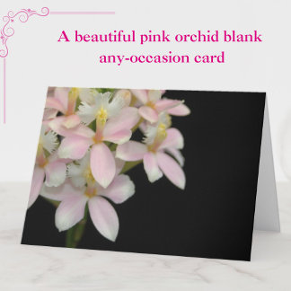 Vackert Rosa Orchid Flower på svart - tomt kort