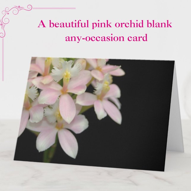 Vackert Rosa Orchid Flower på svart - tomt kort (A beautiful pink orchid floral blank, any-occasion card.)