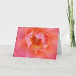 Vackert Rosa Ro-bildkort Kort