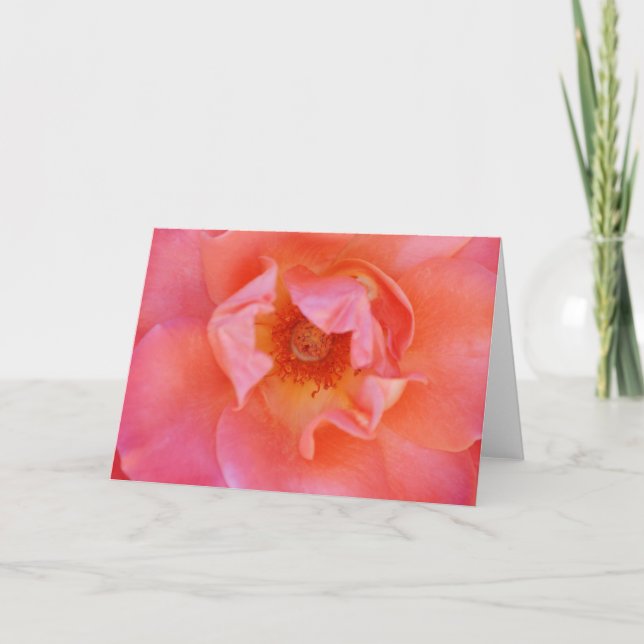 Vackert Rosa  Ro-bildkort Kort (Framsida)