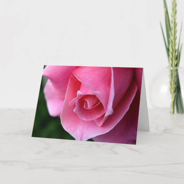 Vackert Rosa ros-hälsningskort Kort (Framsida)