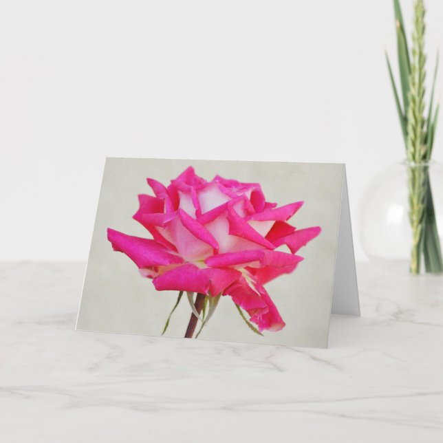 Vackert Rosa ros i Bloom Art Note Card Kort (Framsida)