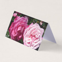 Vackert Rosa ros Kärlek Hälsning-kort