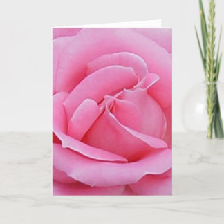 vackert rosa ros-kort kort