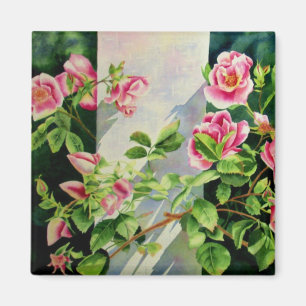 Vackert rosa ros, röd ros, vattenfärgad blommigt magnet