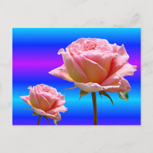 Vackert Rosa ros stäng DIY-vykort Vykort