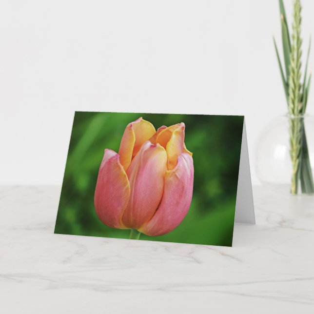 Vackert Rosa Tulip Art Note Card Kort (Framsida)