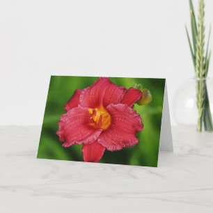 Vackert rött ropiskt blomsterkort kort