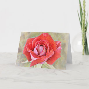 Vackert rött Rosa ros Art-anteckningskort Kort