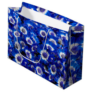Vackert Royal Blue Cineraria Flowers