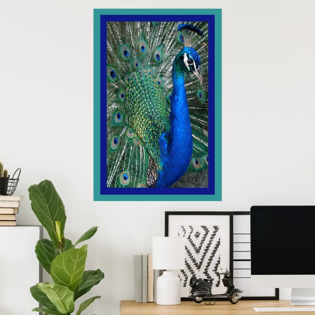 Vackert Royal Peacock Photo Poster (Hemmakontoret)