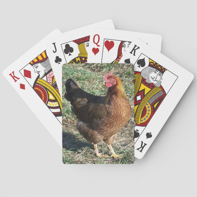 Vackert Sällsynt Chicken Breed Welsommar Hen Casinokort (Baksidan)