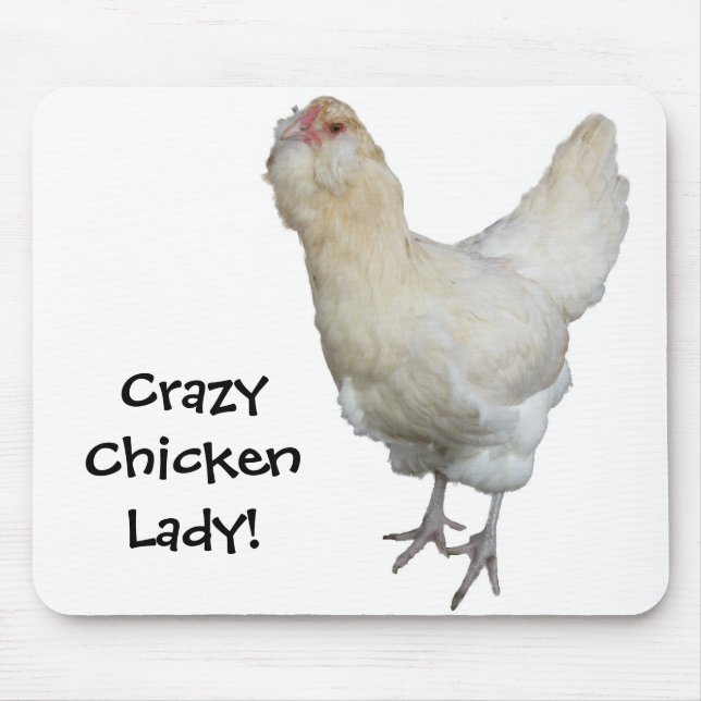 Vackert Sällsynt Wheaten Ameraucana Hens Chickens Musmatta (Framsidan)