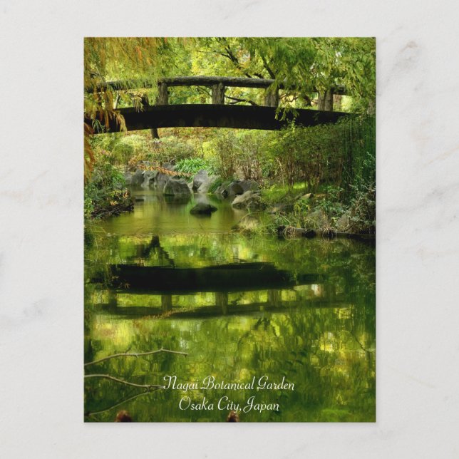 Vackert scenario:vykort vykort (Framsida)