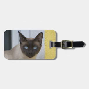 Vackert siamesiskt katt bagagebricka