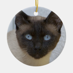 Vackert siamesiskt katt julgransprydnad keramik