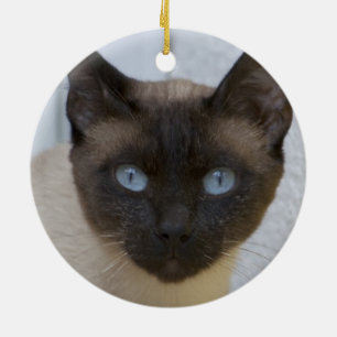 Vackert siamesiskt katt julgransprydnad keramik