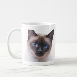 Vackert siamesiskt katt kaffemugg