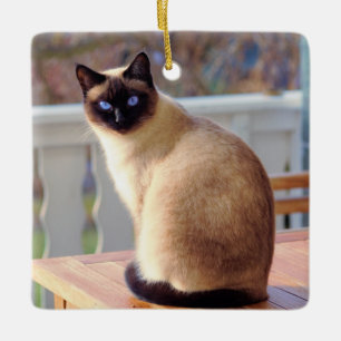 Vackert siamesiskt katt med blå Ögon Julgransprydnad Keramik