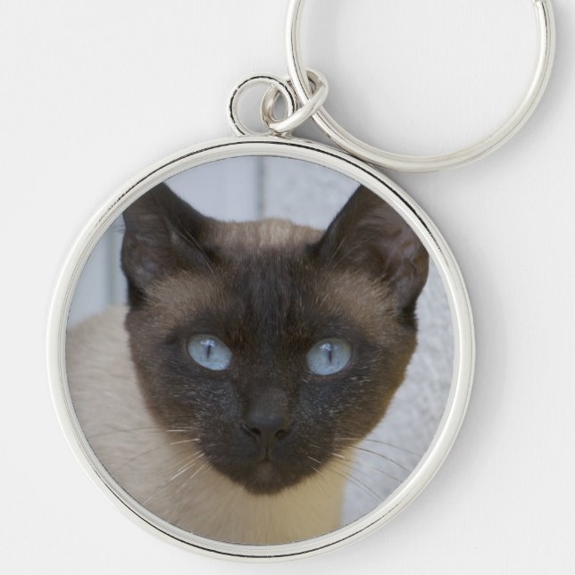 Vackert siamesiskt katt rund silverfärgad nyckelring (Framsidan)