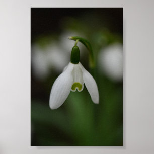 Vackert snurrande nära poster