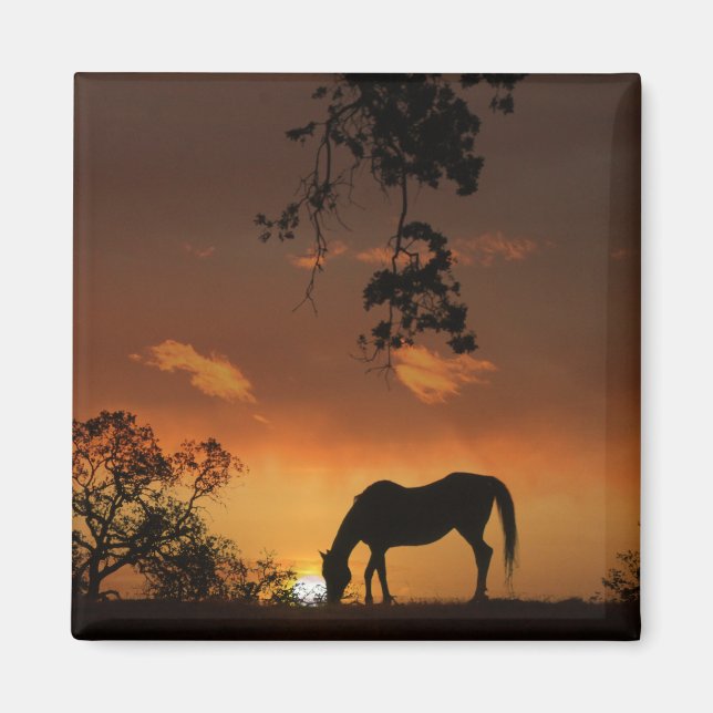 Vackert soluppgång med häst magnet (Framsidan)