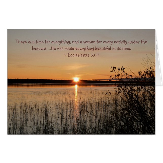 Vackert sopportkort - Anpassadet fullt ut OBS Kort (Framsidan Horizontal)