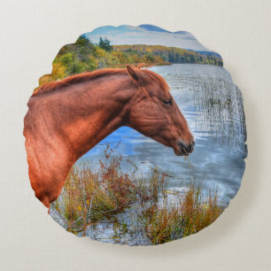 Vackert Sorrel Mare & Sjö View Equine Photo 2 Rund Kudde