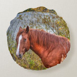 Vackert Sorrel Mare & Sjö View Equine Photo Rund Kudde