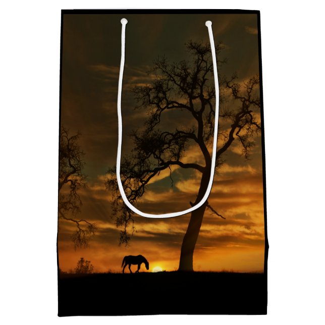 Vackert Southwest Horse Gift Bag (Baksidan)