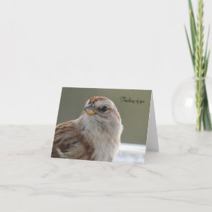 Vackert Sparrow - tomt gratulationskort Kort