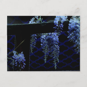 Vackert Strange Blue Lavender Wisteria Night Vykort