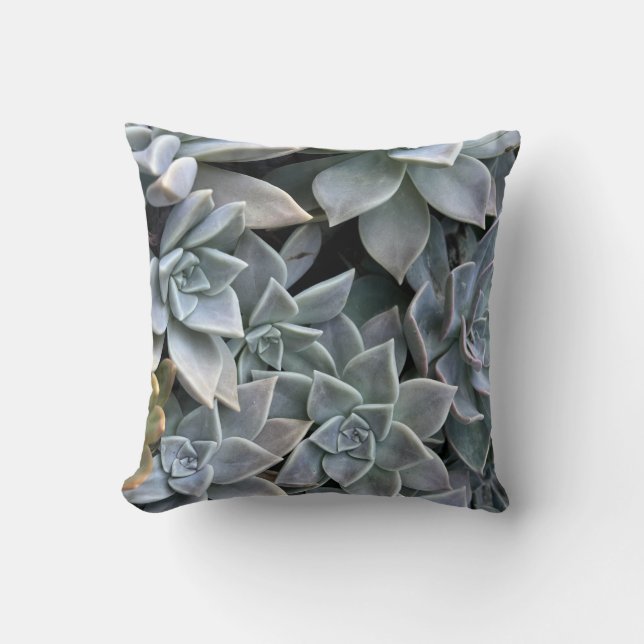 Vackert Succulent Plant Photo Kudde (Framsida)