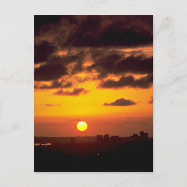 Vackert Sunset: Lymlinen, San Diego, Cal Vykort (Framsida)