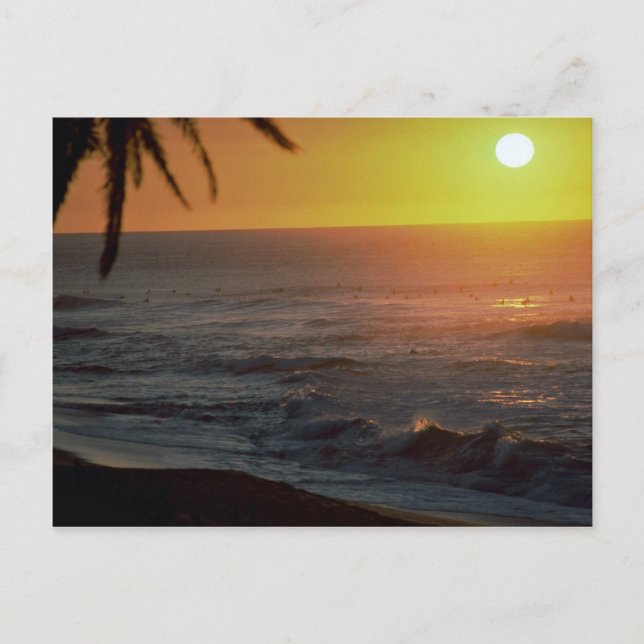 Vackert Sunset: North Shore, Oahu, Hawaii Vykort (Framsida)