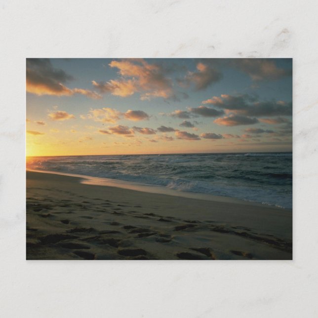 Vackert Sunset: Sunset Beach, Oahu, Hawaii Vykort (Framsida)