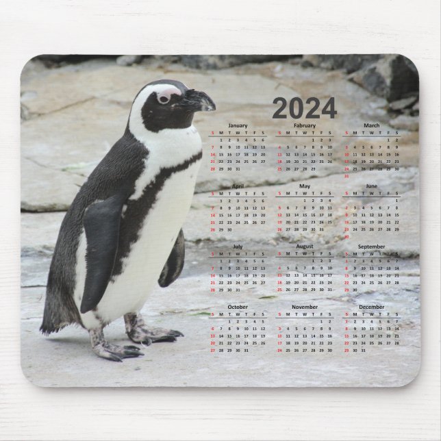 Vackert svartvitt 2024 års kalender musmatta (Framsidan)