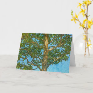 Vackert Träd och Blå himmel Art Note Card Kort