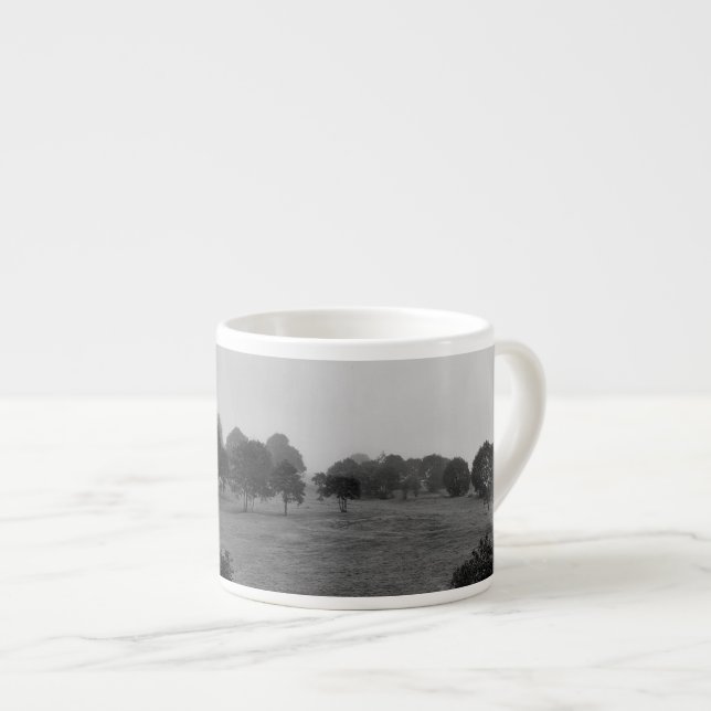 Vackert träd och naturen i dimma espressomugg (Framsida höger)