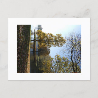 Vackert Träd vykort