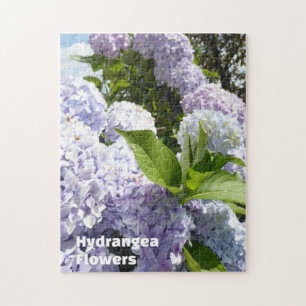 Vackert väder Hydrangea Garden Flower Foto Pussel